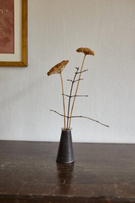 Ferienwohnung am Dorfbrunnen