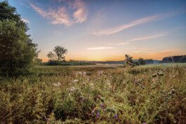 Ferienwohnung am Dorfbrunnen