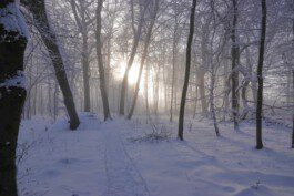 Ferienwohnung am Dorfbrunnen